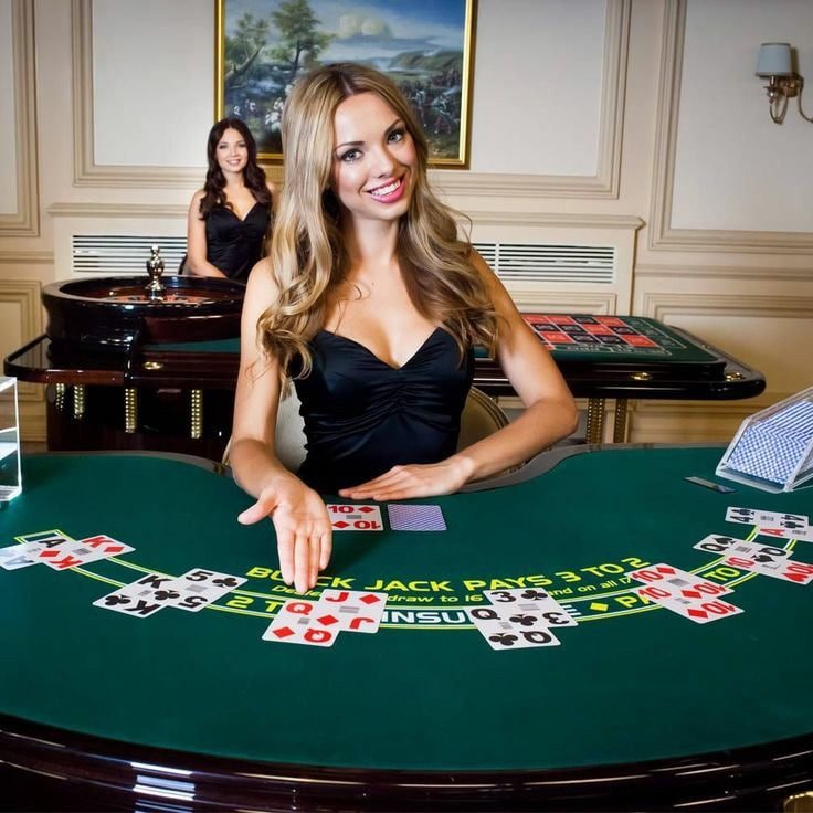e631 Live casino ke liye kya kya rakh rakha hai